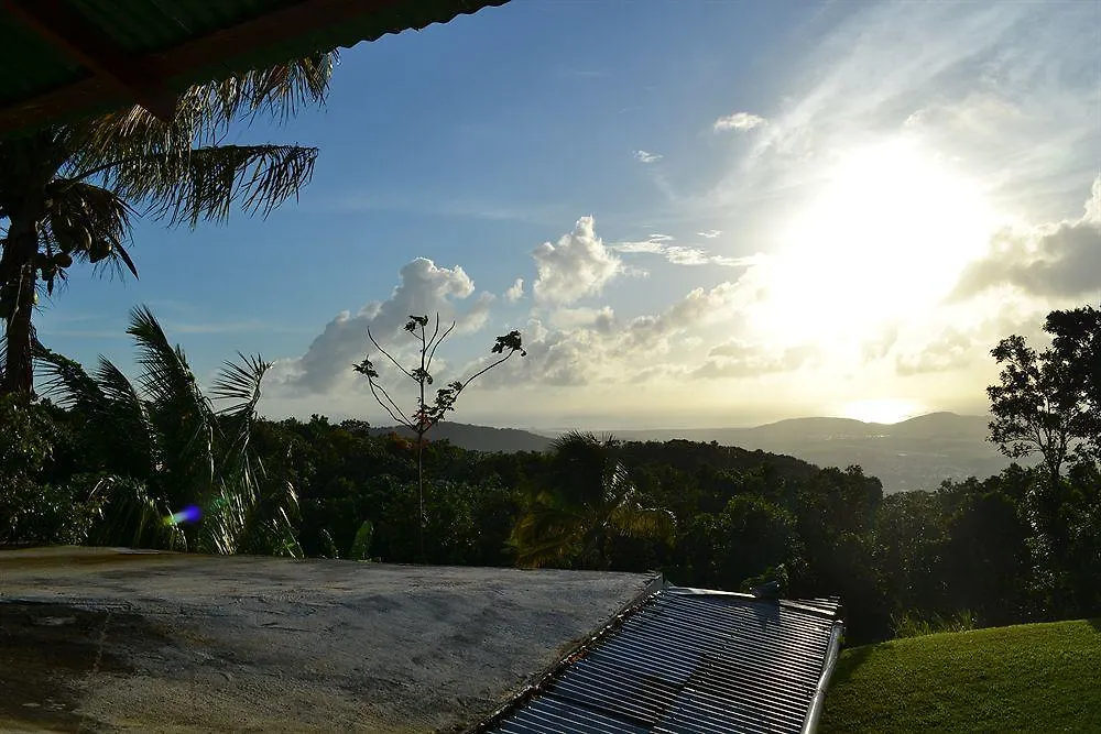 מלון פחרדו El Hotelito At The Rainforest Experience Farm