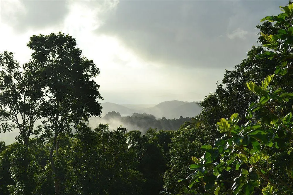 פחרדו El Hotelito At The Rainforest Experience Farm 4*,  פוארטו ריקו