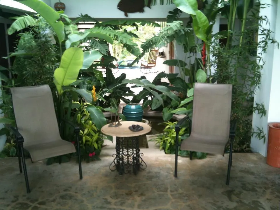 פחרדו El Hotelito At The Rainforest Experience Farm פוארטו ריקו