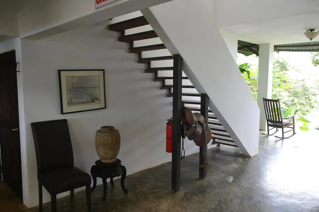 פחרדו El Hotelito At The Rainforest Experience Farm מלון