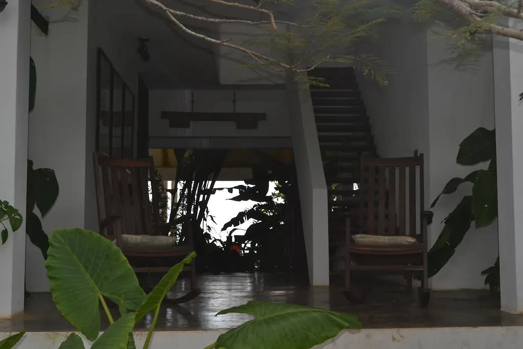 מלון פחרדו El Hotelito At The Rainforest Experience Farm