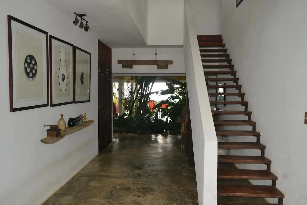 פחרדו El Hotelito At The Rainforest Experience Farm 4*,  פוארטו ריקו