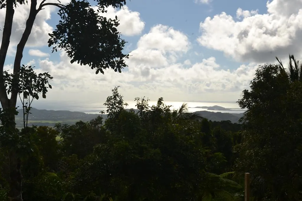 פחרדו El Hotelito At The Rainforest Experience Farm 4*,