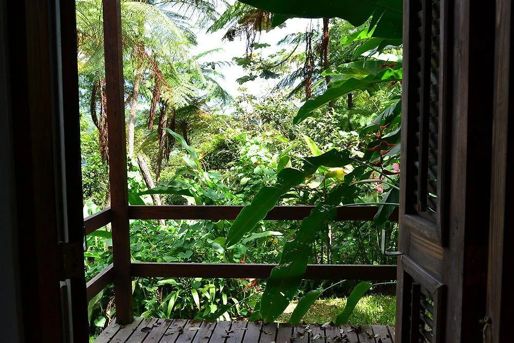 פחרדו El Hotelito At The Rainforest Experience Farm פוארטו ריקו