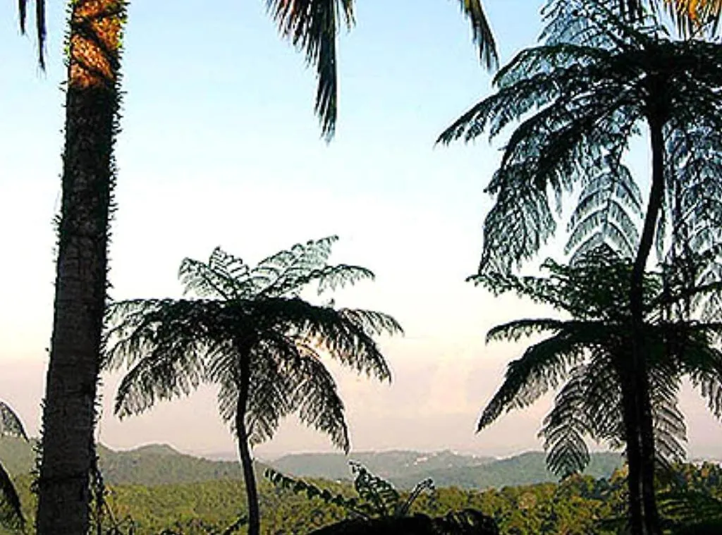 פחרדו El Hotelito At The Rainforest Experience Farm מלון