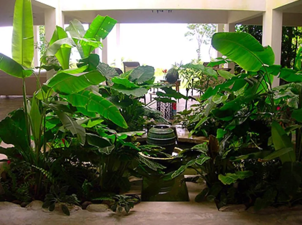 פחרדו El Hotelito At The Rainforest Experience Farm